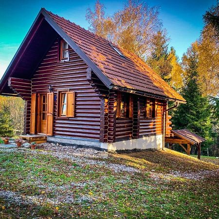 Pine Lodge Hlevci Buitenkant foto