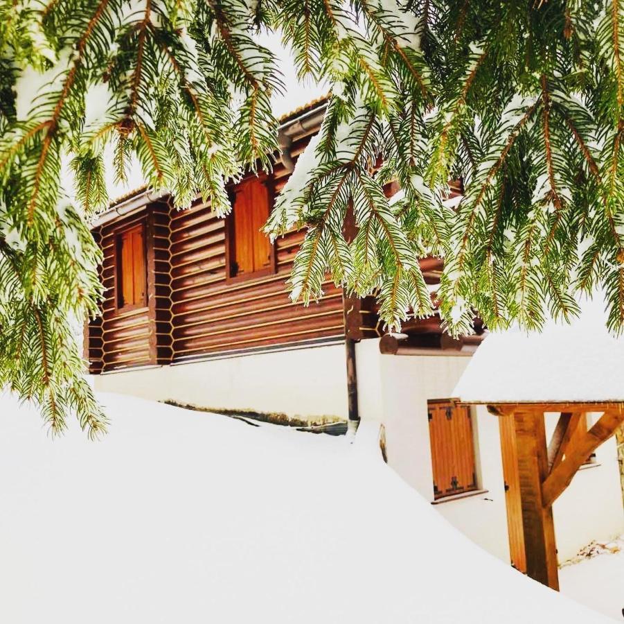 Pine Lodge Hlevci Buitenkant foto