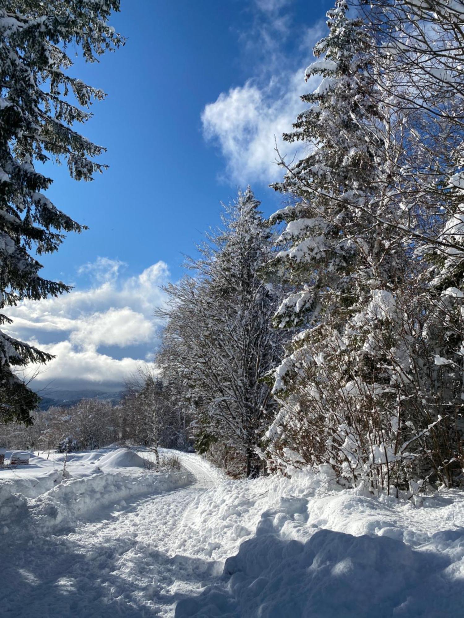 Pine Lodge Hlevci Buitenkant foto