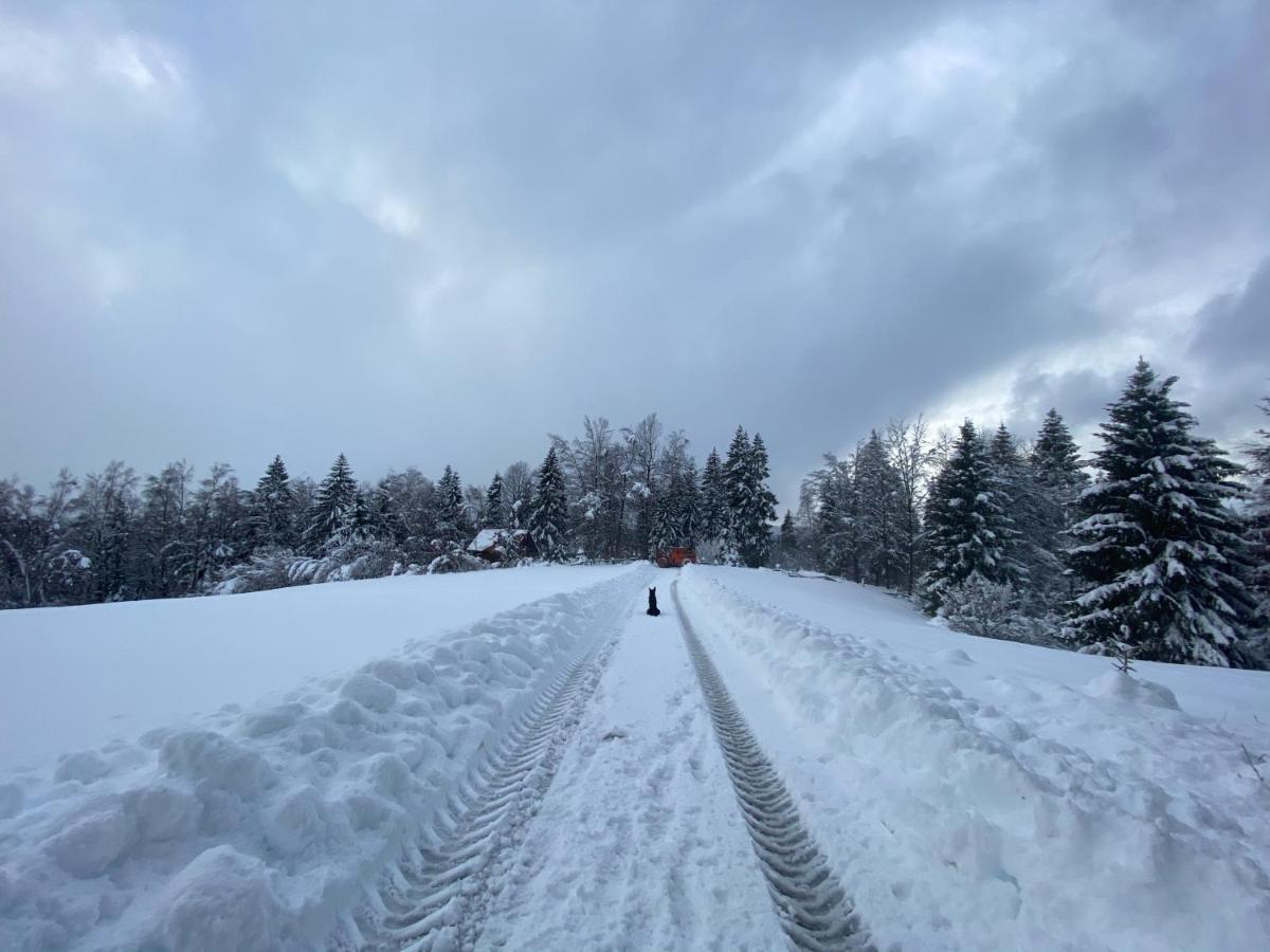 Pine Lodge Hlevci Buitenkant foto